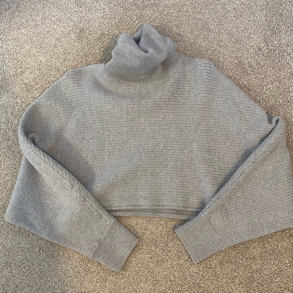 Aritzia Wilfred Free turtleneck
